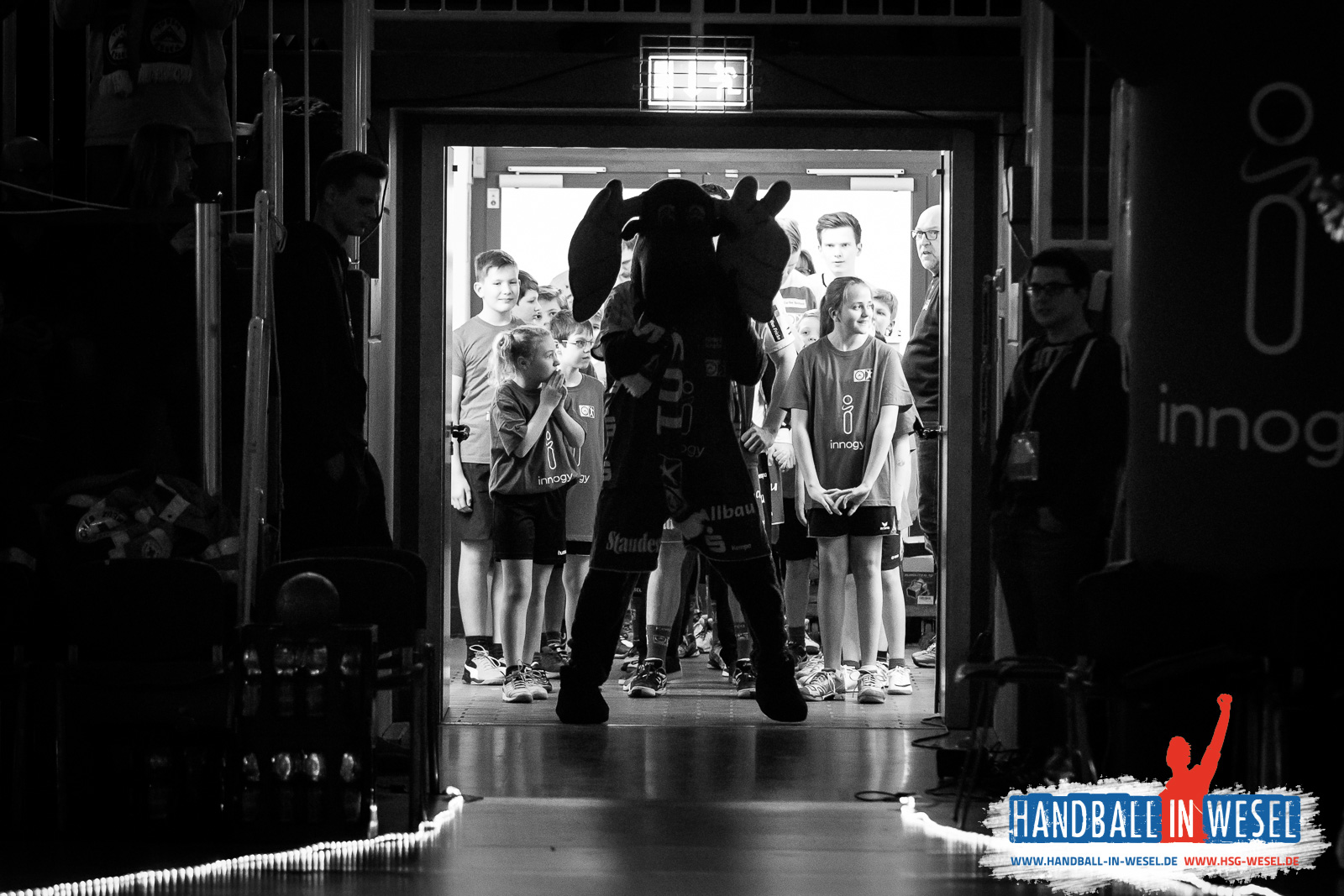 HSG Wesel E-Jugend / Einlaufkids TUSEM Essen 2017